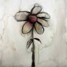 天桥下的蚂蚁 头像