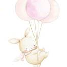 蒲公英的风 头像