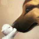 感冒的石头 头像