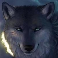 愤怒的锅盖 头像