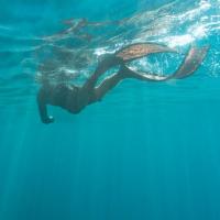 好家伙官方旗舰店 头像