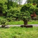 橄榄丝😷 头像