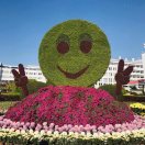 请叫我闪电 头像