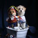 ʚ蓝精灵ღ秀ོ出明ོ天 ꧔ꦿ🧸 头像