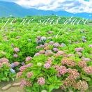 卡其色的小发卡 头像