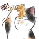 下个路口见 头像