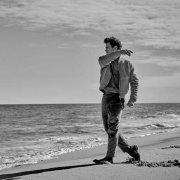 毕加索的马- 头像