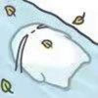 泥给路哒哟 头像