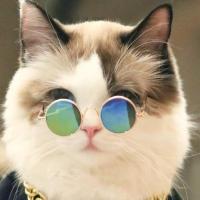 光之美少女 头像