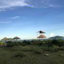 财信徐延照 头像