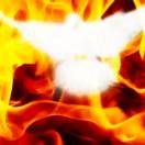 牛福程爸爸电话13683843035 头像