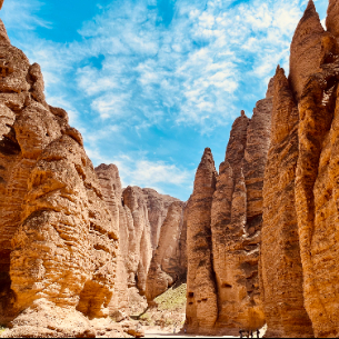 大唐小小白 头像