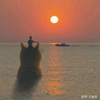 夕阳下的黑猫 头像