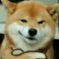 前女友说我笨 头像