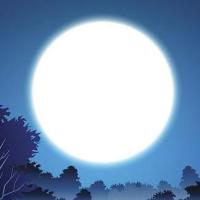 贝比在干啥 头像