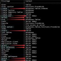 大白兔爱吃烤肉 头像