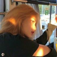 危险且迷人 头像