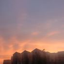 撸起袖子加油干 头像