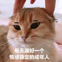 188143_PO 头像