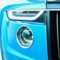 温柔的老虎 头像