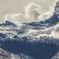 老鼠不爱土豆 头像