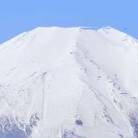 制药搬砖人 头像