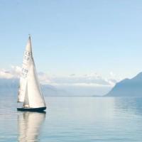 诺诺的天空 头像