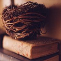 早起的小鸟 头像