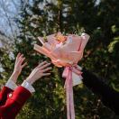 万象复明谁 头像