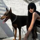 J¡ngWángJ¡ng 头像