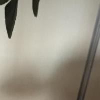 osgpjw6UaqJmIcS 头像