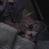 osgpjw_3bjxvJFa 头像