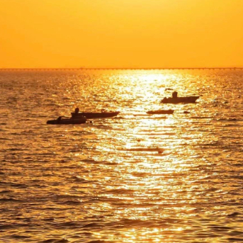 osgpjw15-y-yAB8 头像