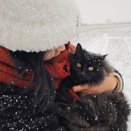 osgpjw3WOf5JN0Y 头像