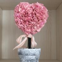 osgpjwxGq_VqoxQ 头像