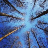 osgpjw2l0r5bY5_ 头像