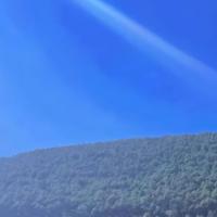 osgpjw5KCYR1t3y 头像