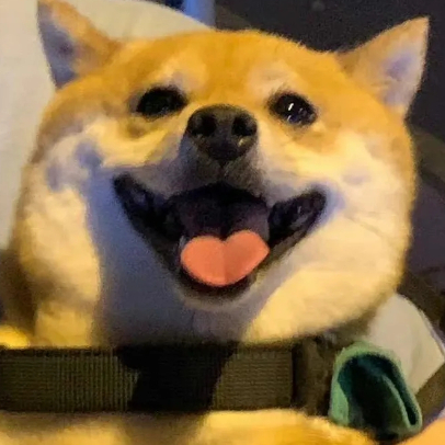 osgpjw2Ycf8To19 头像