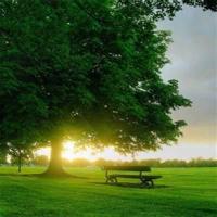 笨拙的小鬼 头像