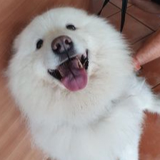 osgpjw24TxUDCAq 头像