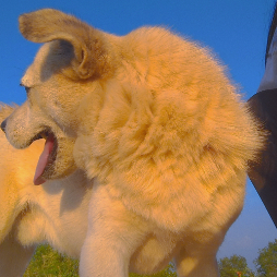 osgpjw42d3u4EYC 头像