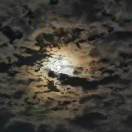 白开水真难喝 头像