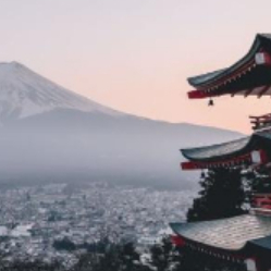 人生四十载 头像