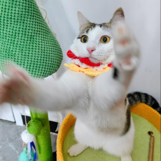 REN 头像