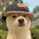 PO_WdIRS7 头像