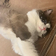 PO_xGCK3j 头像