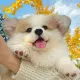 PO_WvNKf6 头像