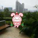 ShineL 头像