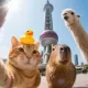 186543_PO 头像